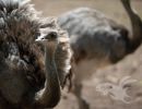 2021 05 30 zoo aschersleben