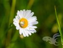 2023 05 29 spaziergang yumi
