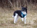 2022 01 16 yumi