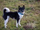2022 11 06 yumi lange hecke95